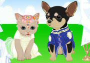 Cat And Dog Wedding Game