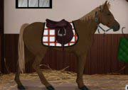 Horse Dress Up Game