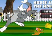 Tom And Jerry Mouse About House